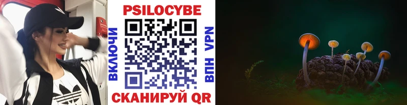 Галлюциногенные грибы Cubensis Шахунья